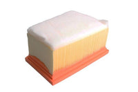 Gaisa filtrs - B2R031PR