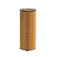 Eļļas filtrs - E161H01 D28