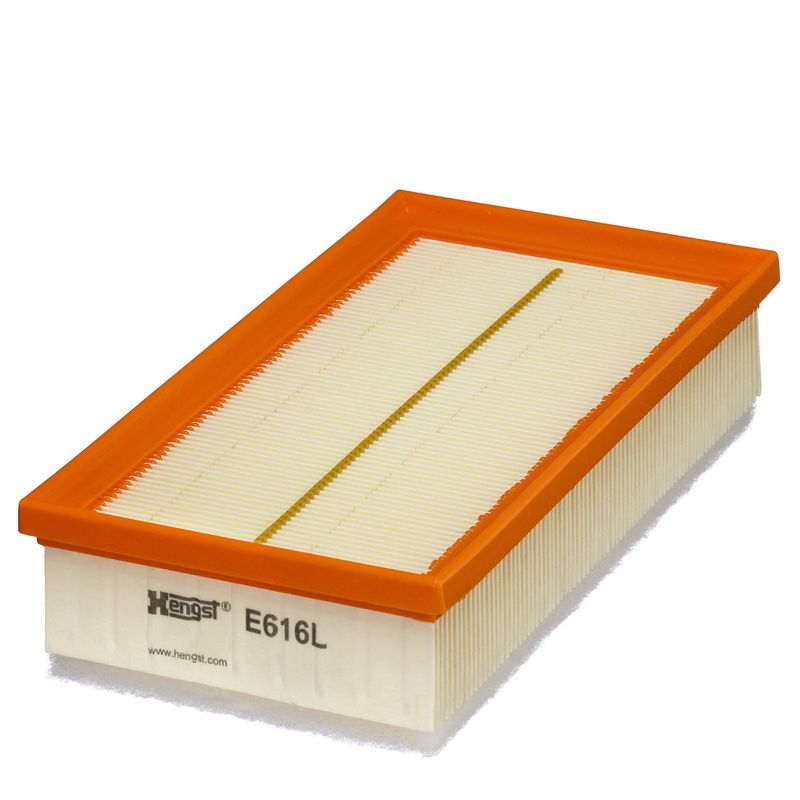Gaisa filtrs - E616L
