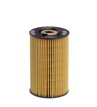 Eļļas filtrs - E134H D06