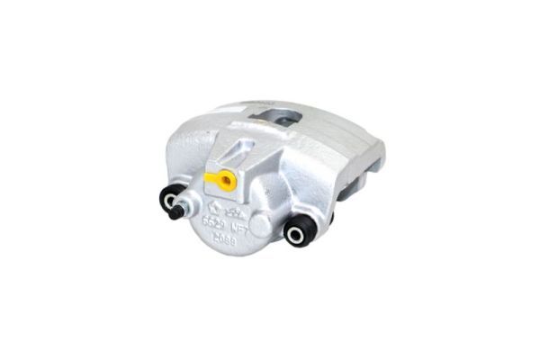 Jarrusatula - 77.3890