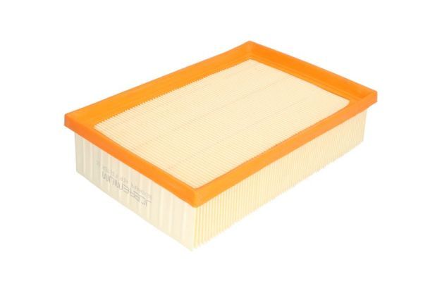 Gaisa filtrs - B2X066PR