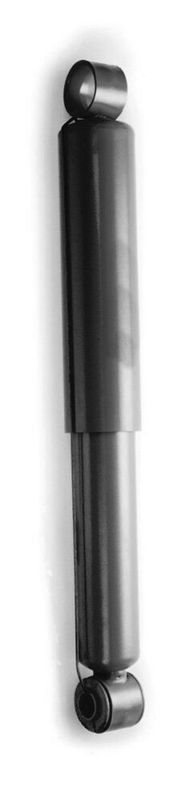 Amortizators - D4484S