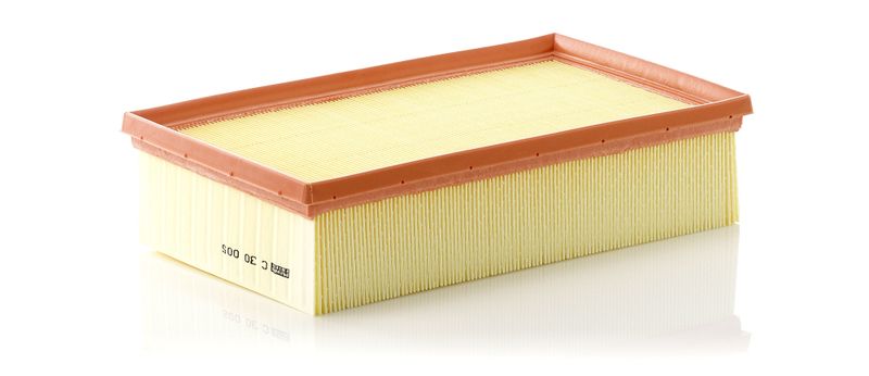 Ilmansuodatin - C 30 005