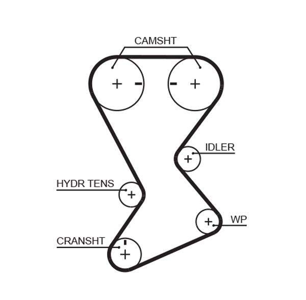 Hammashihnat - T246