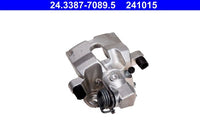 Jarrusatula - 24.3387-7089.5