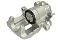 Jarrusatula - CZH1192