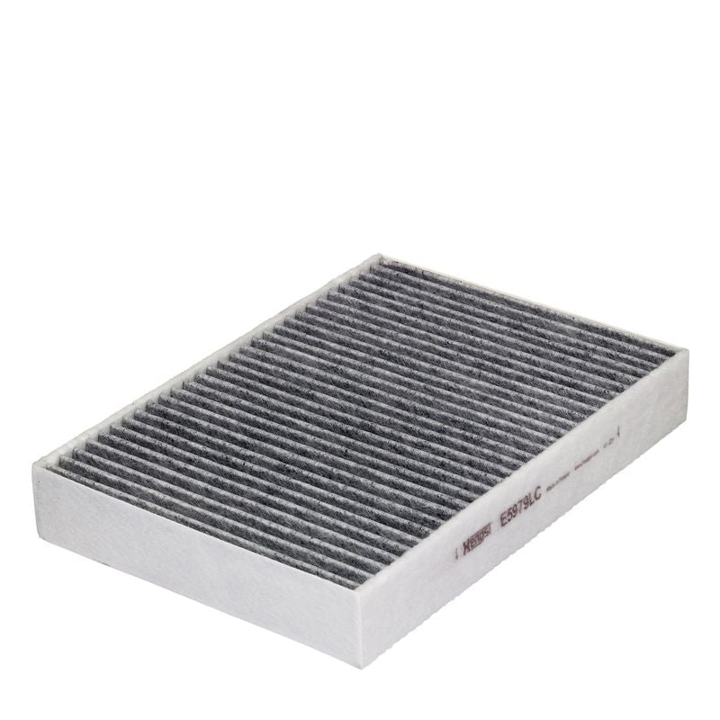 Salona filtrs - E5979LC