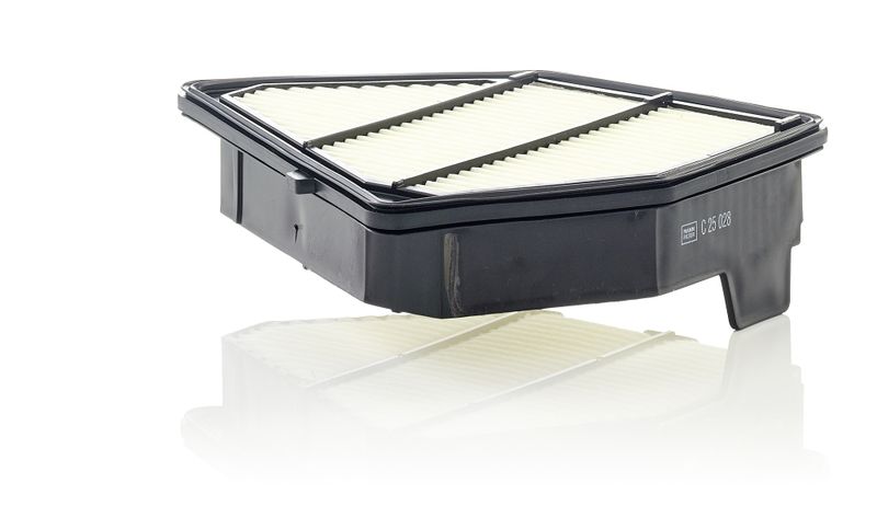 Ilmansuodatin - C 25 028