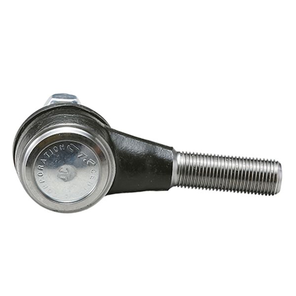 Raidetangon pää - CE0313