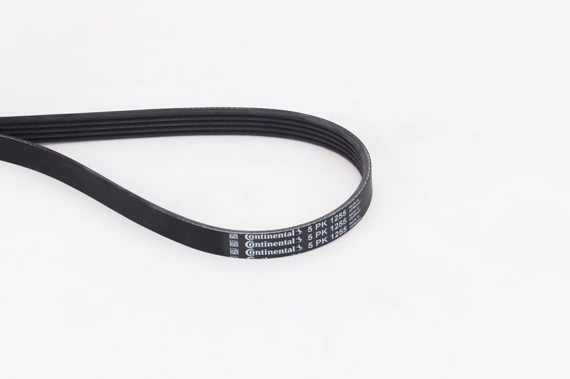Celiņu siksna - 5PK1255