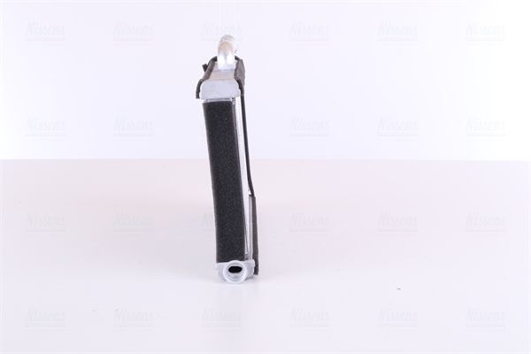 Siltummainis, Salona apsilde - 70233