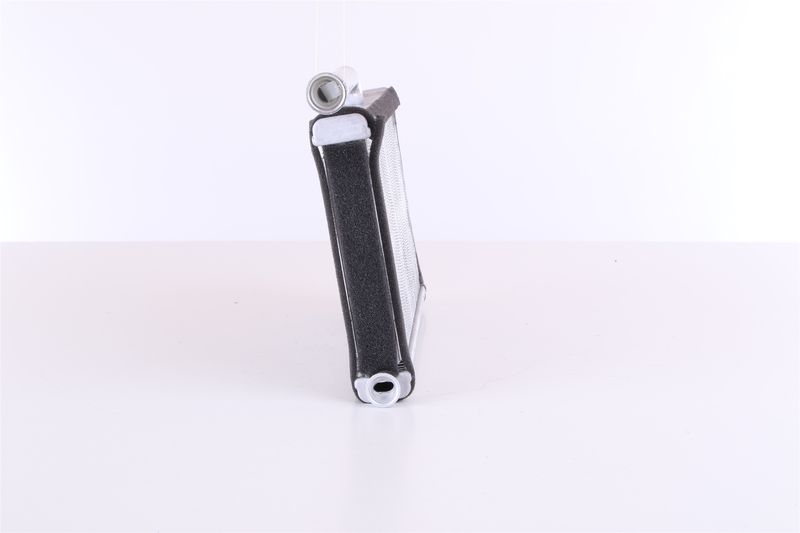 Siltummainis, Salona apsilde - 70233