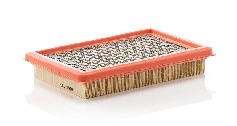 Gaisa filtrs - C 2564
