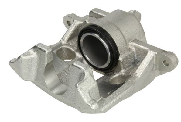 Jarrusatula - CZH1190