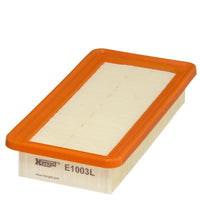 Gaisa filtrs - E1003L