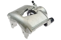 Jarrusatula - CZH1028