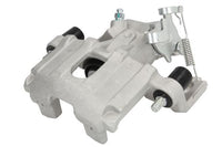 Jarrusatula - CZH1592