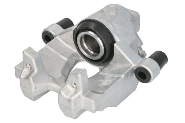 Jarrusatula - CZH2303
