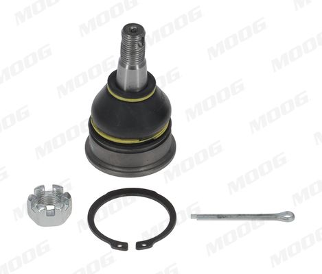 Pallonivel - NI-BJ-12582