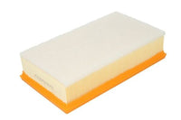 Gaisa filtrs - B2C063PR