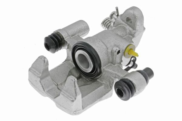 Jarrusatula - CZH1041