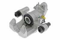Jarrusatula - CZH1041