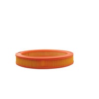 Gaisa filtrs - AR 244