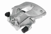Jarrusatula - 77.0042