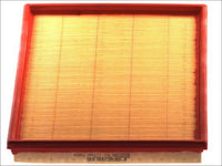 Gaisa filtrs - B2X014PR
