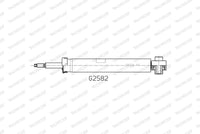 Amortizators - G2582