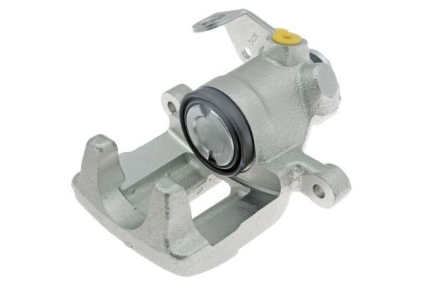 Jarrusatula - CZH1185