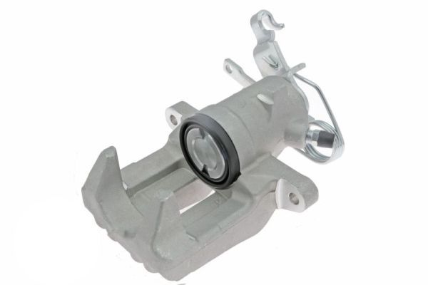 Jarrusatula - CZH1601
