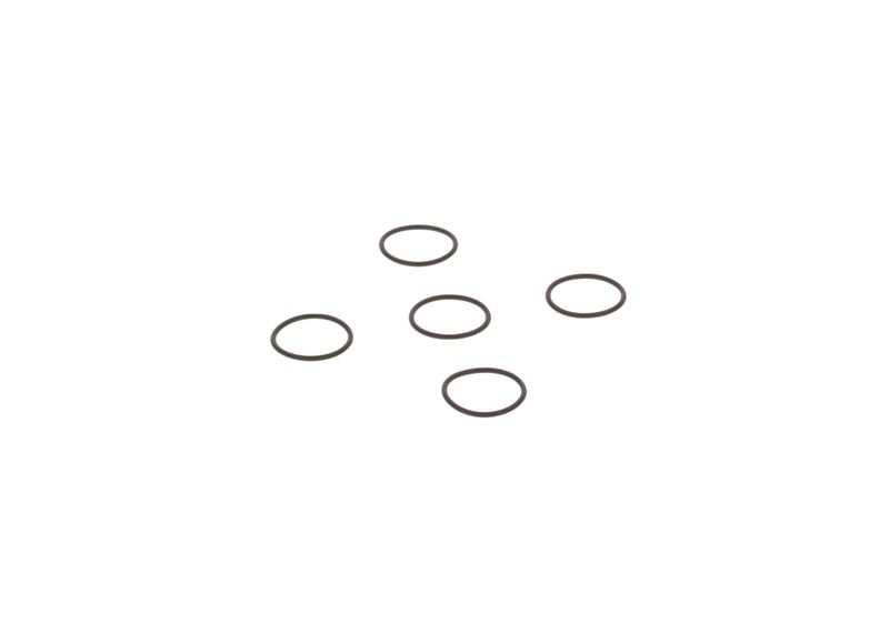 Degvielas sūkņa elements - 2.440.210.026