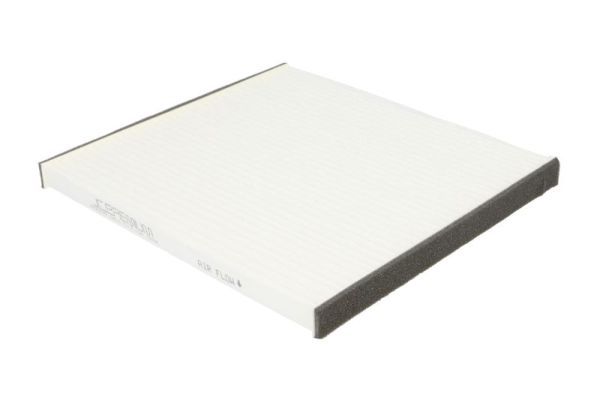 Salona filtrs - B42007PR