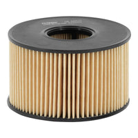 Eļļas filtrs - OE 665/1
