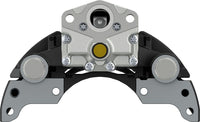 Jarrusatula - 40195038