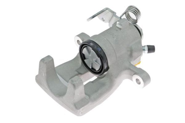 Jarrusatula - CZH1126