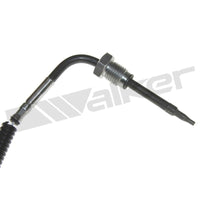 Motora dzesēsanas radiators - 10031030