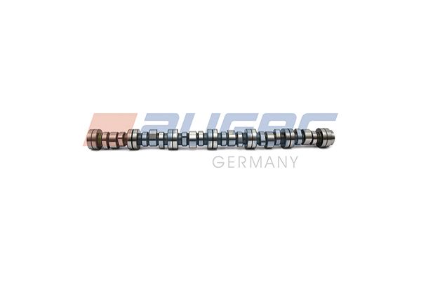 Zobsiksna - 94949