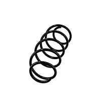 Balstiekārtas atspere - R10251