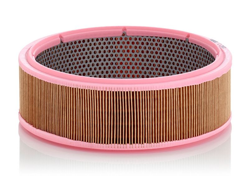 Gaisa filtrs - C 2651