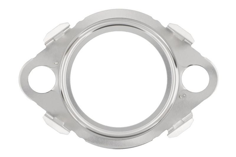Turbokompresora blīve - 117 471