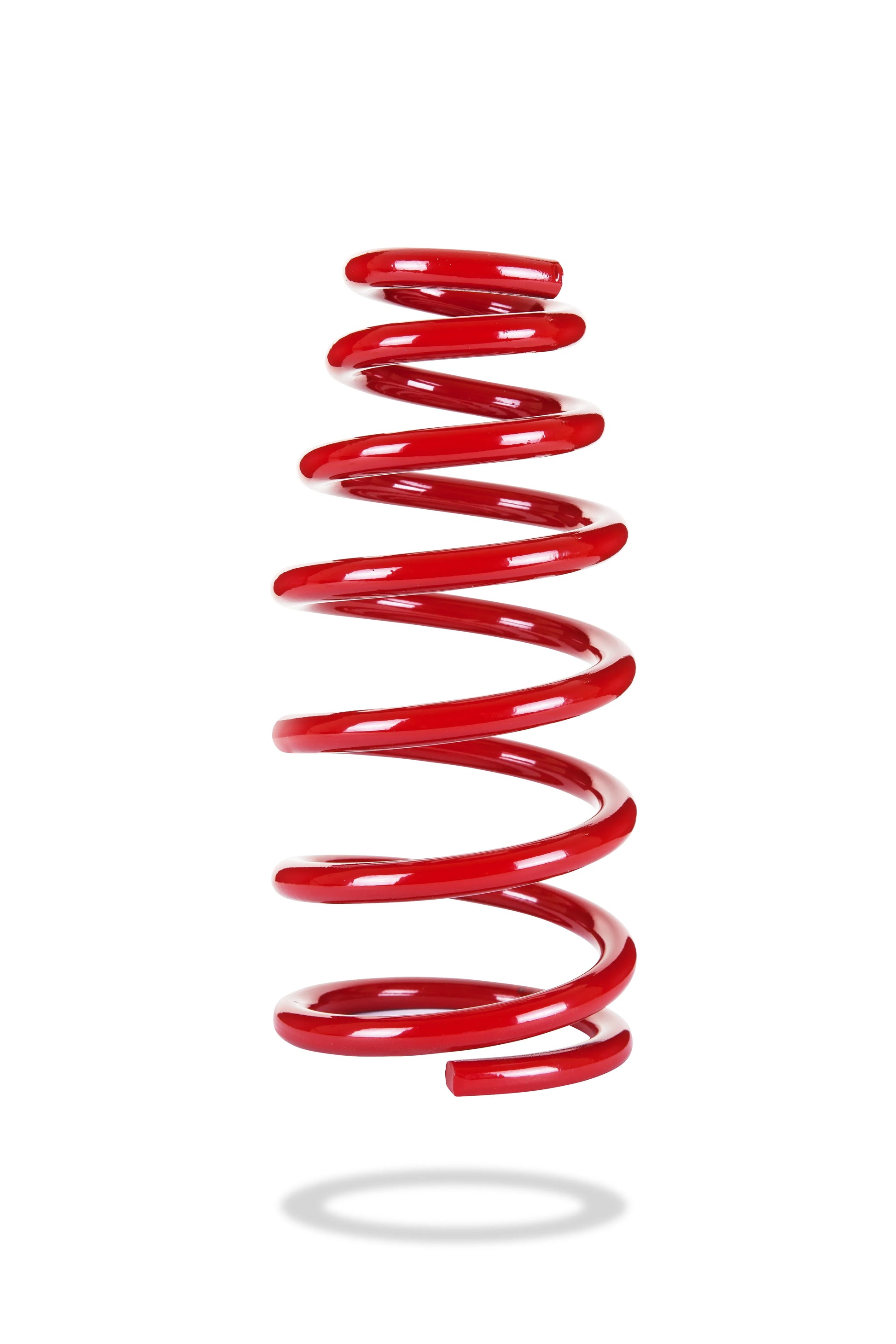Sports Ryder Coil Spring - 2385