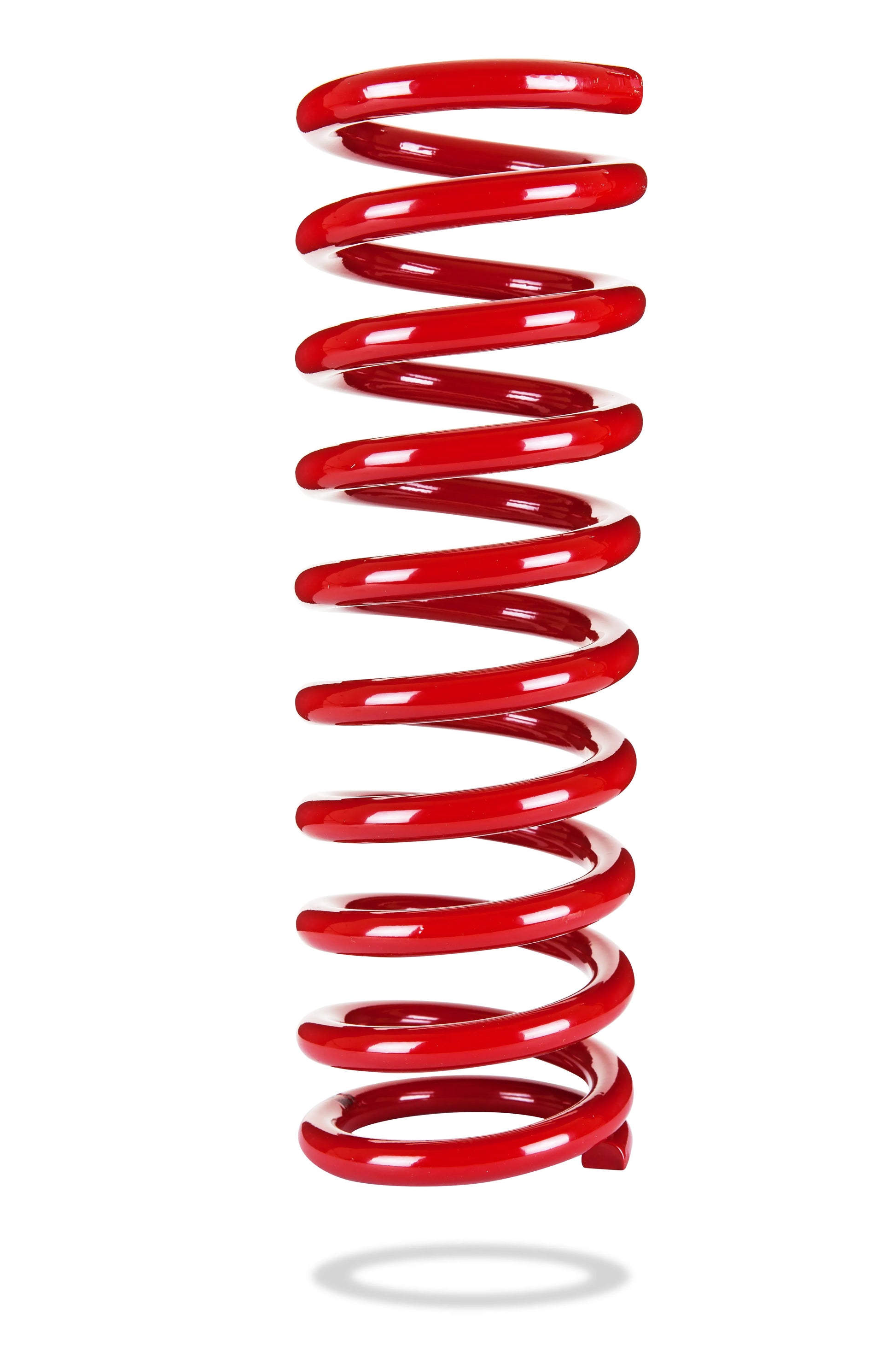2474 Sports Ryder Coil Spring - 2474