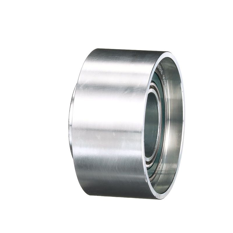 Parazīt-/Vadrullītis, Zobsiksna - T42233