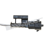 Motora dzesēsanas radiators - 10031011
