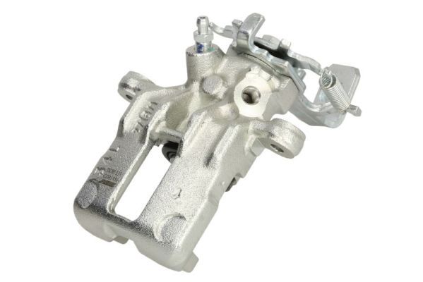 Jarrusatula - CZH1356