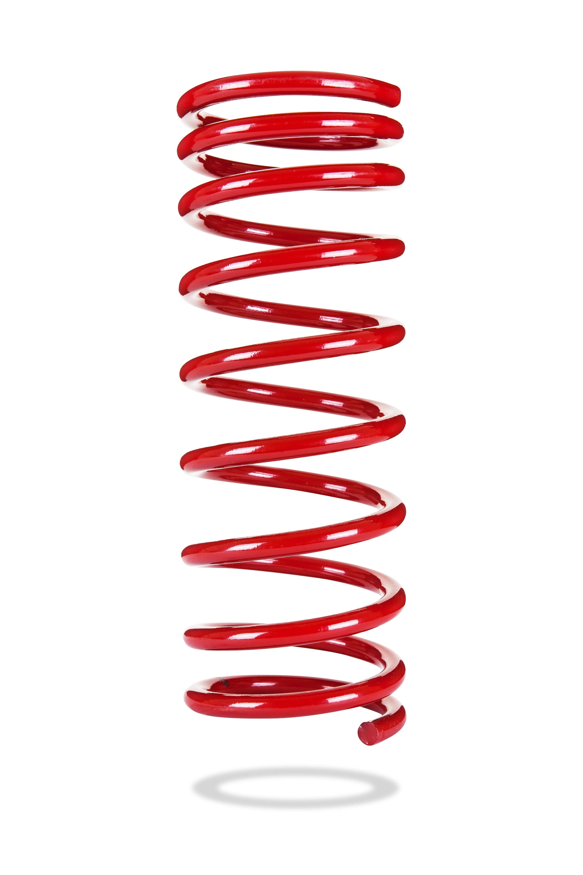 Sports Ryder Coil Spring - 2679