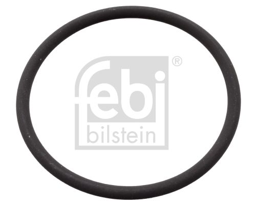 Blīve, Degvielas augstspiediena sūknis - 106582
